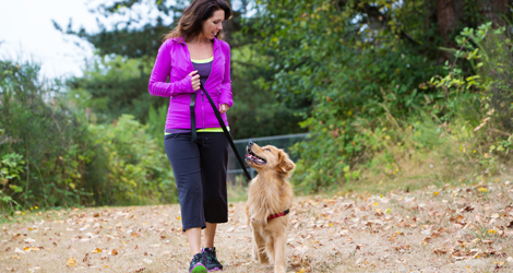 How A Dog Can Help You Develop A Healthy Lifestyle?