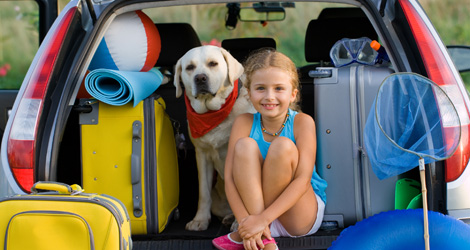 5 Safety Tips When Traveling With Your Pets