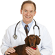 Veterinarian Kitchener