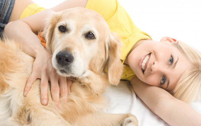 3 Helpful Dog Care Essentials